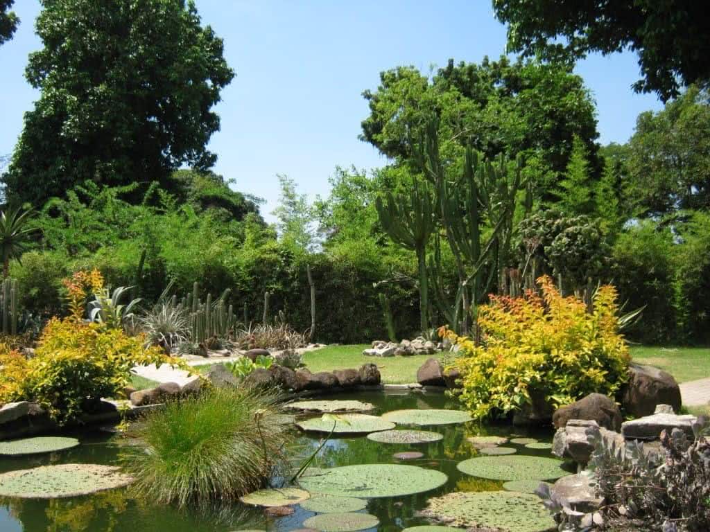 laguinho jardim