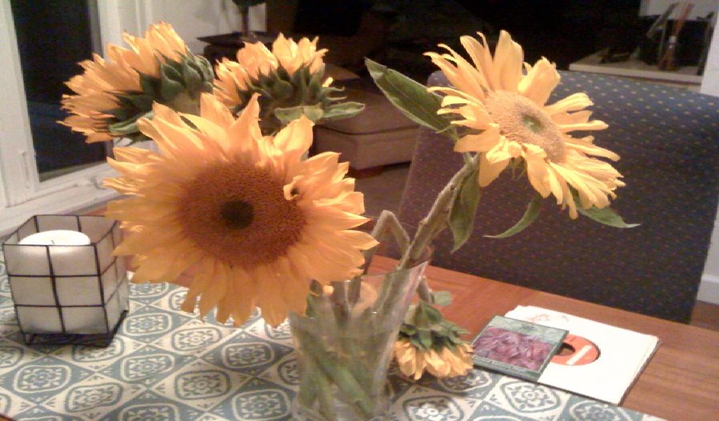 flores em vaso