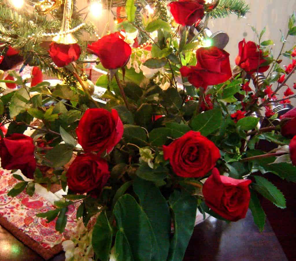 arranjo de rosas para o natal
