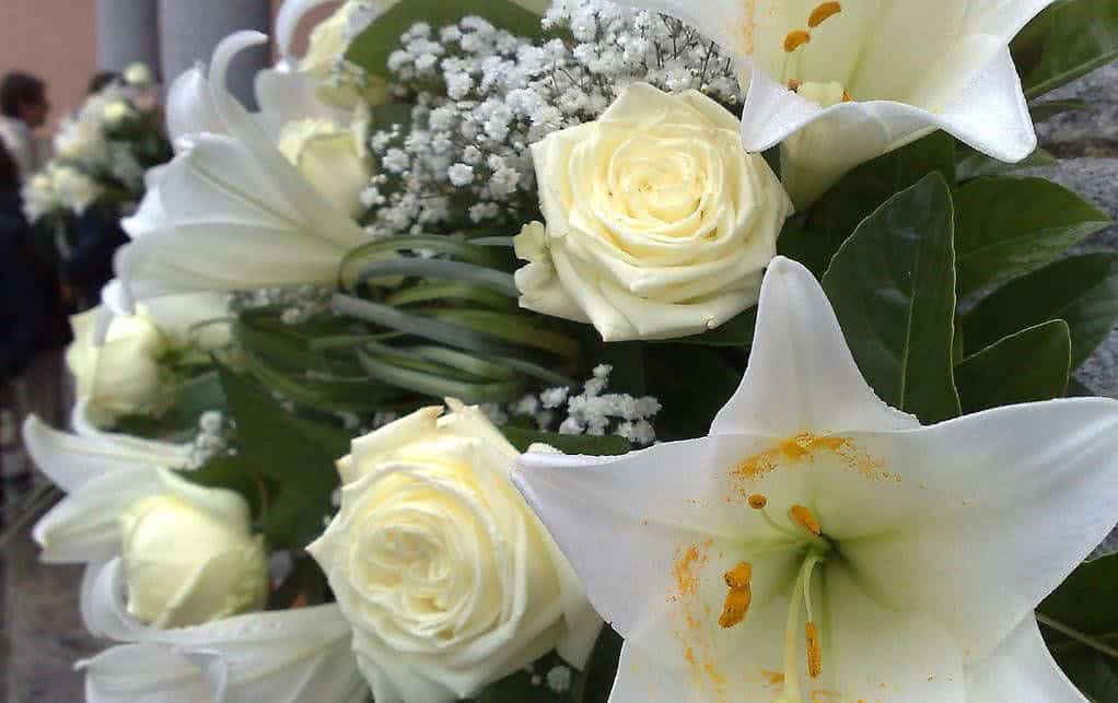 flores brancas para reveillon