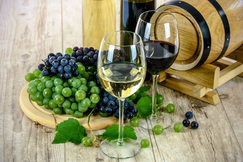 uvas vinhos barril
