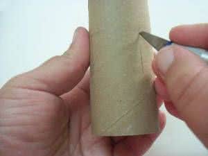 Como fazer um Carrinho de corrida com rolo de papel higiênico