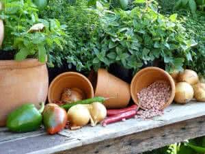 horta legumes vasos