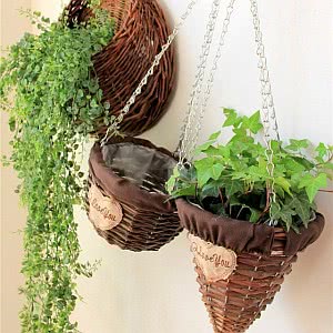 cestas plantas suspensas