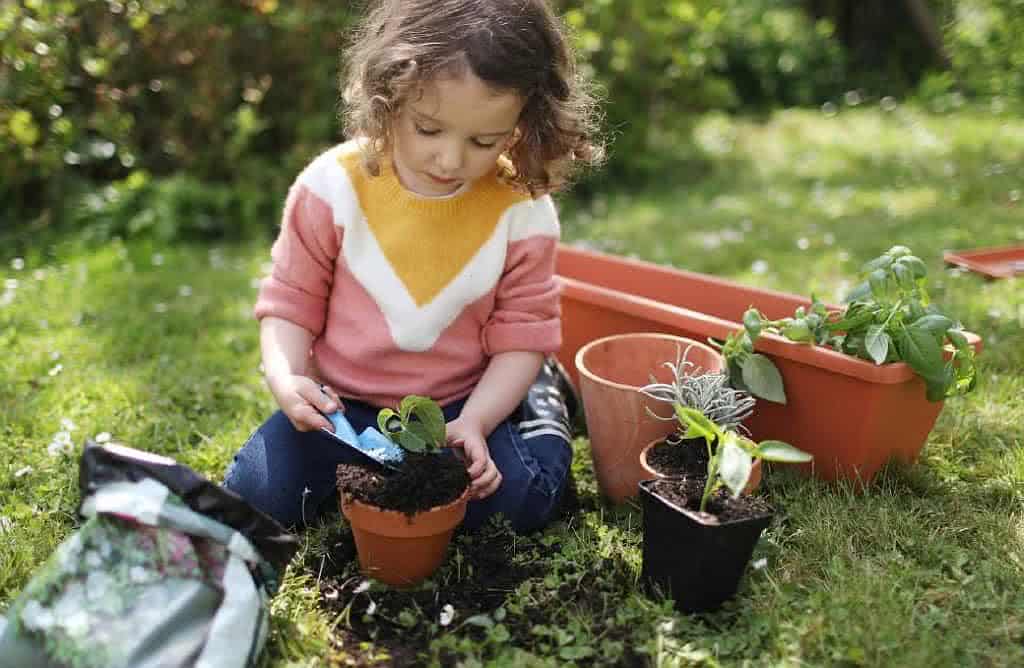 jardinagem para crianças
