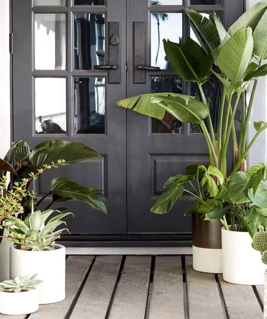 Porta preta com plantas