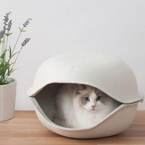 móveis para gatos