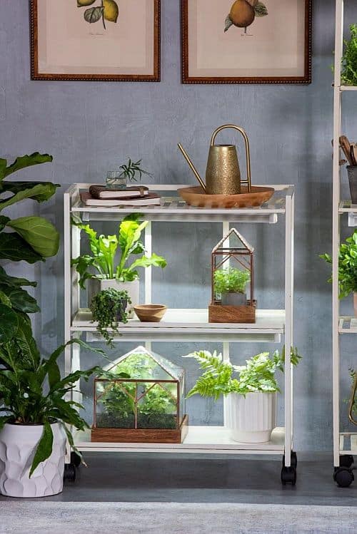 lâmpadas para cultivar plantas dentro de casa indoors