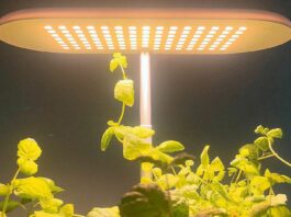 luminária para cultivar hortas e plantas