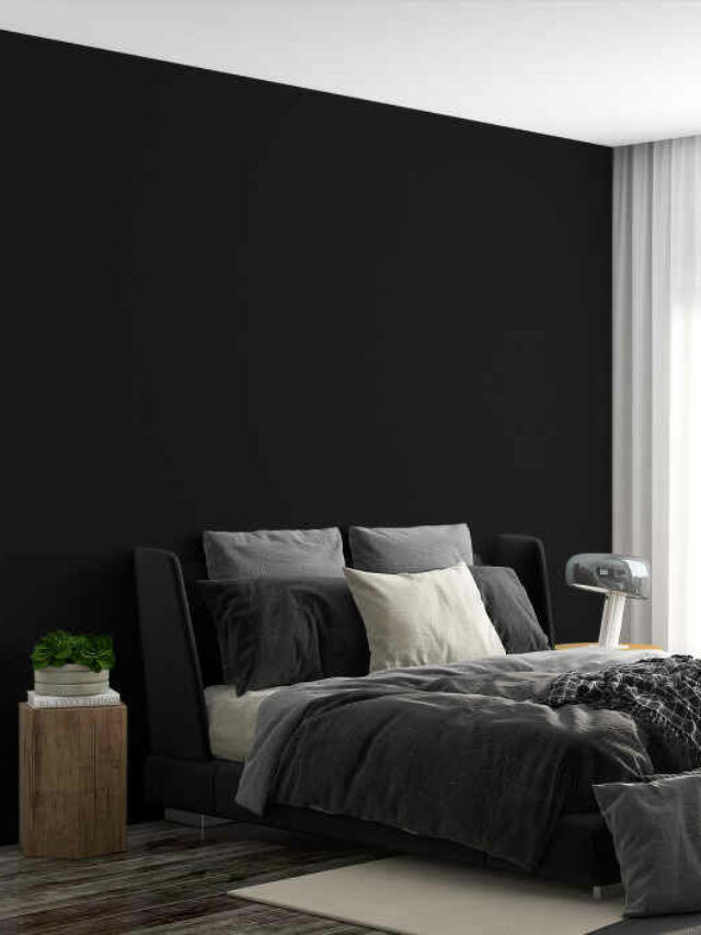 Estilos populares de papel de parede preto